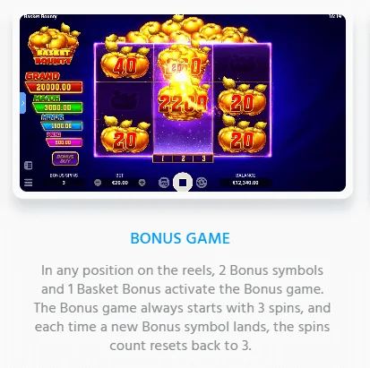 Posnetek zaslona Basket Bounty