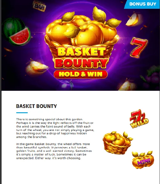 Posnetek zaslona Basket Bounty