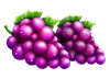 Simbol grozdja Basket Bounty
