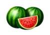 Simbol lubenice Basket Bounty